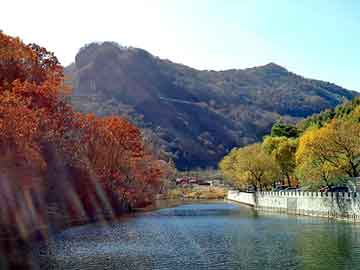 管家婆黑白马报图库，社旗seo建站